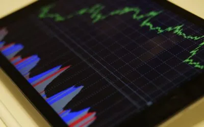 400 de participanți intră în ultima săptămână a simulării. Liderul are un randament de 5,35%